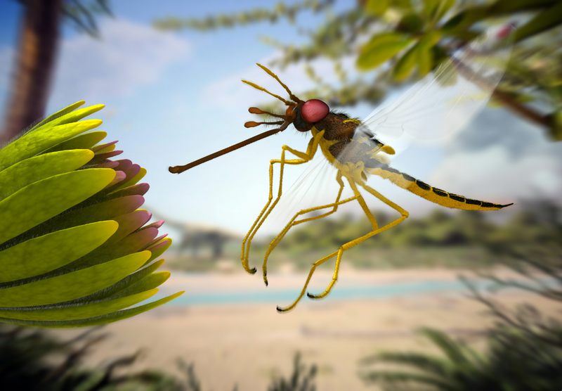 Illustration for article titled Flies in Amber Were Ancient Pollinators